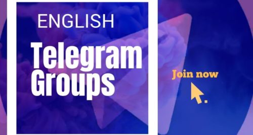 Telegram Group members