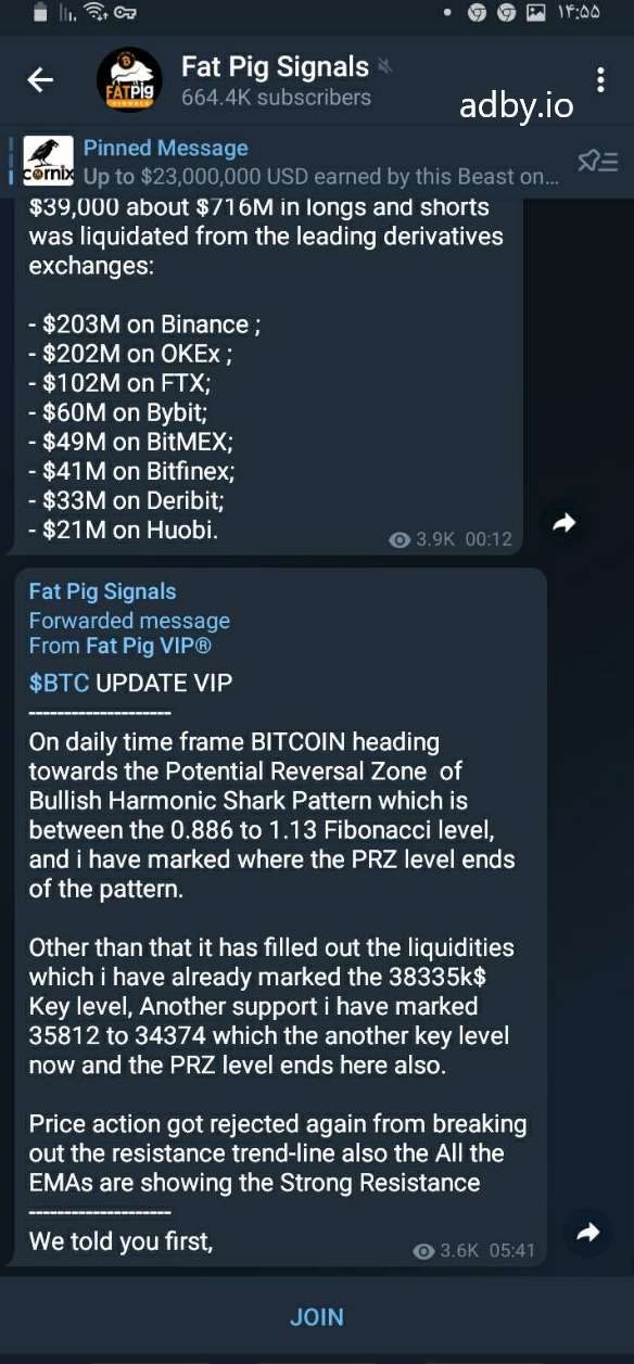 Fat Pig Signals Telegram CHannel